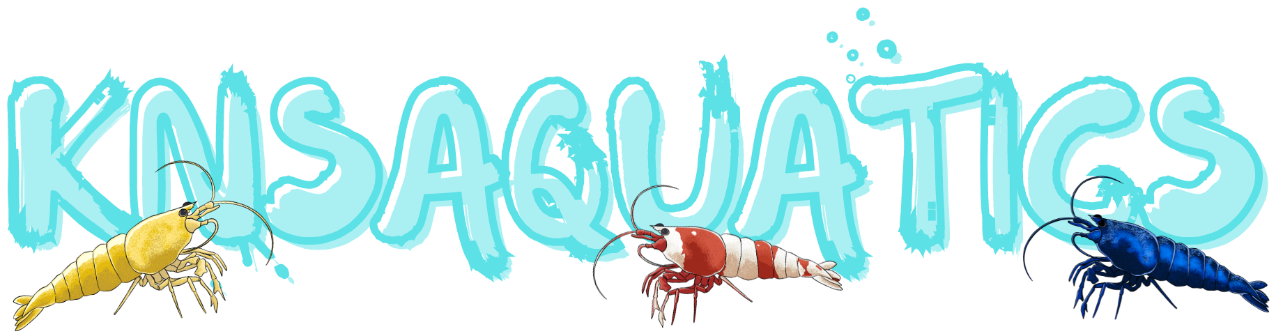 KNSAquatics logo