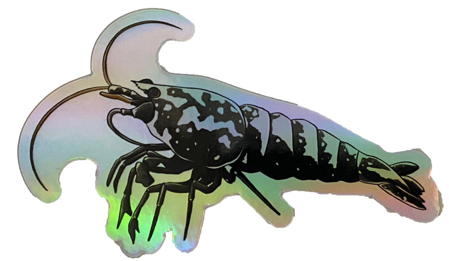 Metallic Boa Sticker